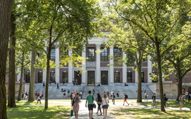 My Degree Guide Image